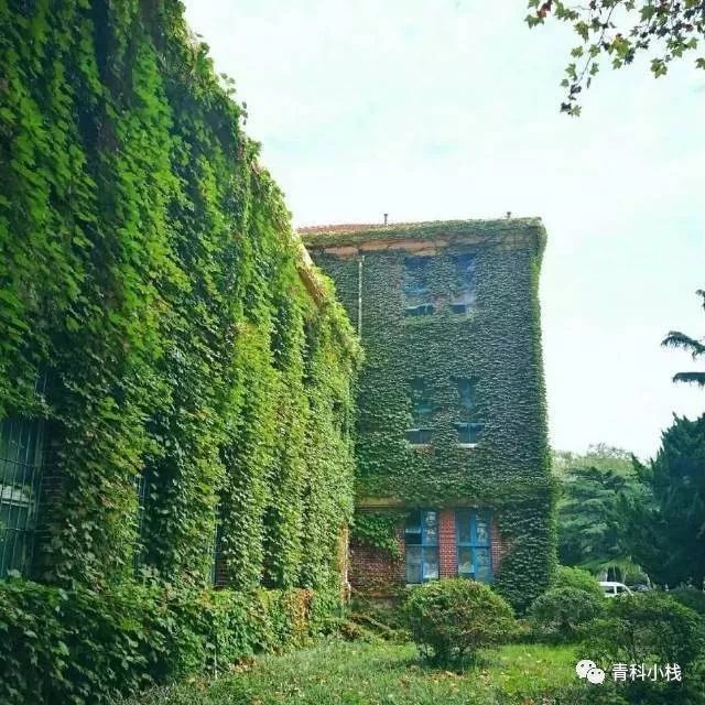 微信游戏控制了我的生活